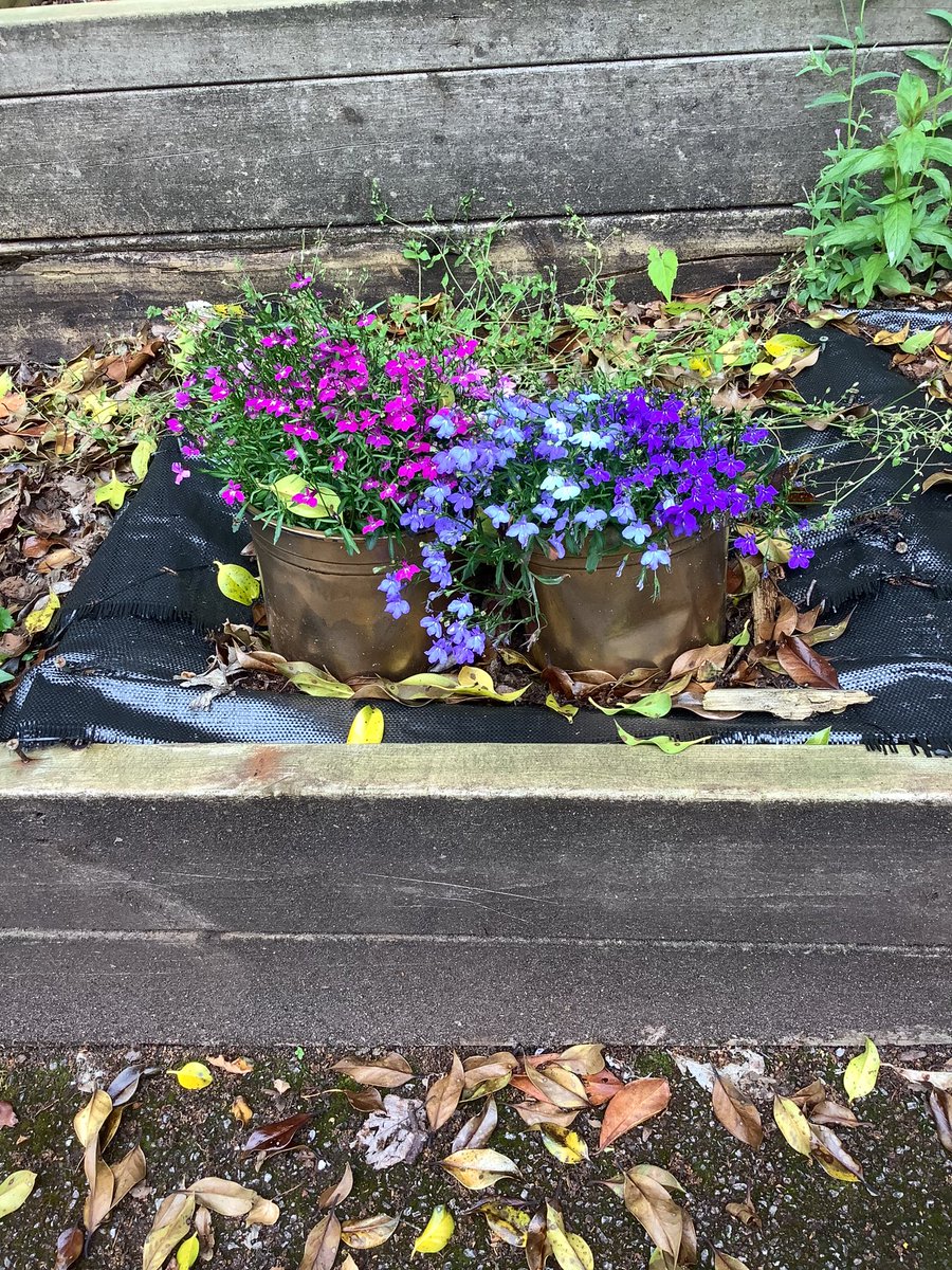 Mrs Davis (@npsmrsdavis) on Twitter photo What a wonderful world we live in. Today we have been looking at all of God’s wonderful creations,namely animals and small beasts that we can found around us.<a href="/NPS_Nursery/">Northleigh Nursery</a> #RE What a wonderful world we live in. Today we have been looking at all of God’s wonderful creations,namely animals and small beasts that we can found around us.<a href="/NPS_Nursery/">Northleigh Nursery</a> #RE