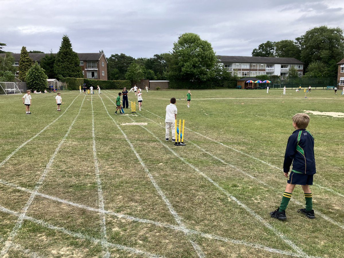 Chinthurst School tweet media