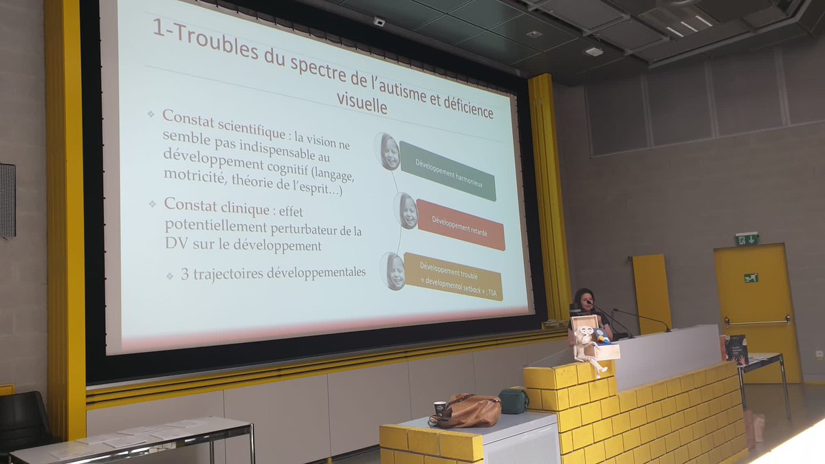 Interventions de <a href="/nbaltenneck/">Nicolas Baltenneck</a> J. Y Baudouin, <a href="/AnnaRGaliano/">Anna Rita Galiano</a> et <a href="/DannyelleValen1/">Dannyelle Valente</a> au Colloque Piaget-RIPSYDEVE 2003 à Genève sur le thème de la déficience visuelle : DV-TSA, livres tactiles, émotions…
