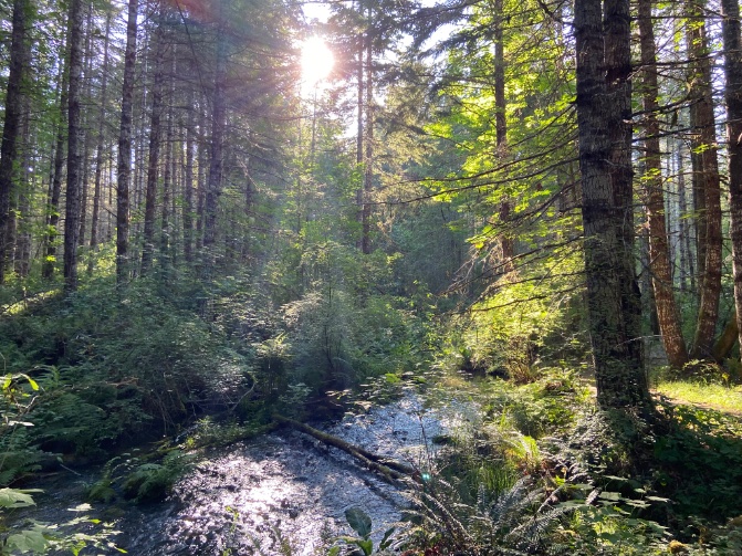 ZoeSTodd's tweet photo. When @geotransversals and I lead listening workshops, we are inviting participants to explore what it means to listen, attune, and soften our relationships to a place. (If you are safe) — how are you able to listen to the place that holds you today? https://t.co/NGOh6dYjtu