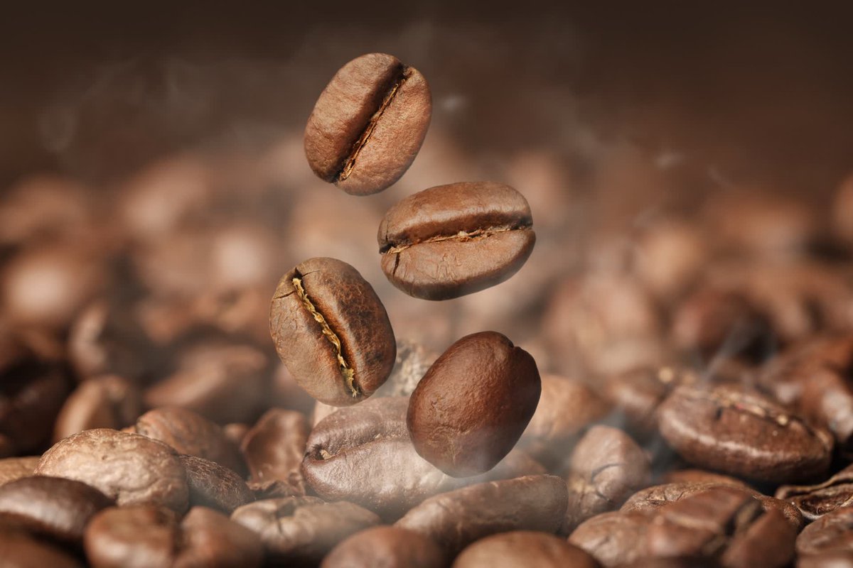 phinixcoffecafe's tweet photo. Start your day off on the right note with a cup of Phinix Coffee café. Our coffee beans are roasted and shipped directly to your door.

Shop Now : https://t.co/kjskyY3FgO

#WakeUpHappy #CoffesReady #CoffeeLove #PhinixCoffeeCafe https://t.co/BI6JyGvf00