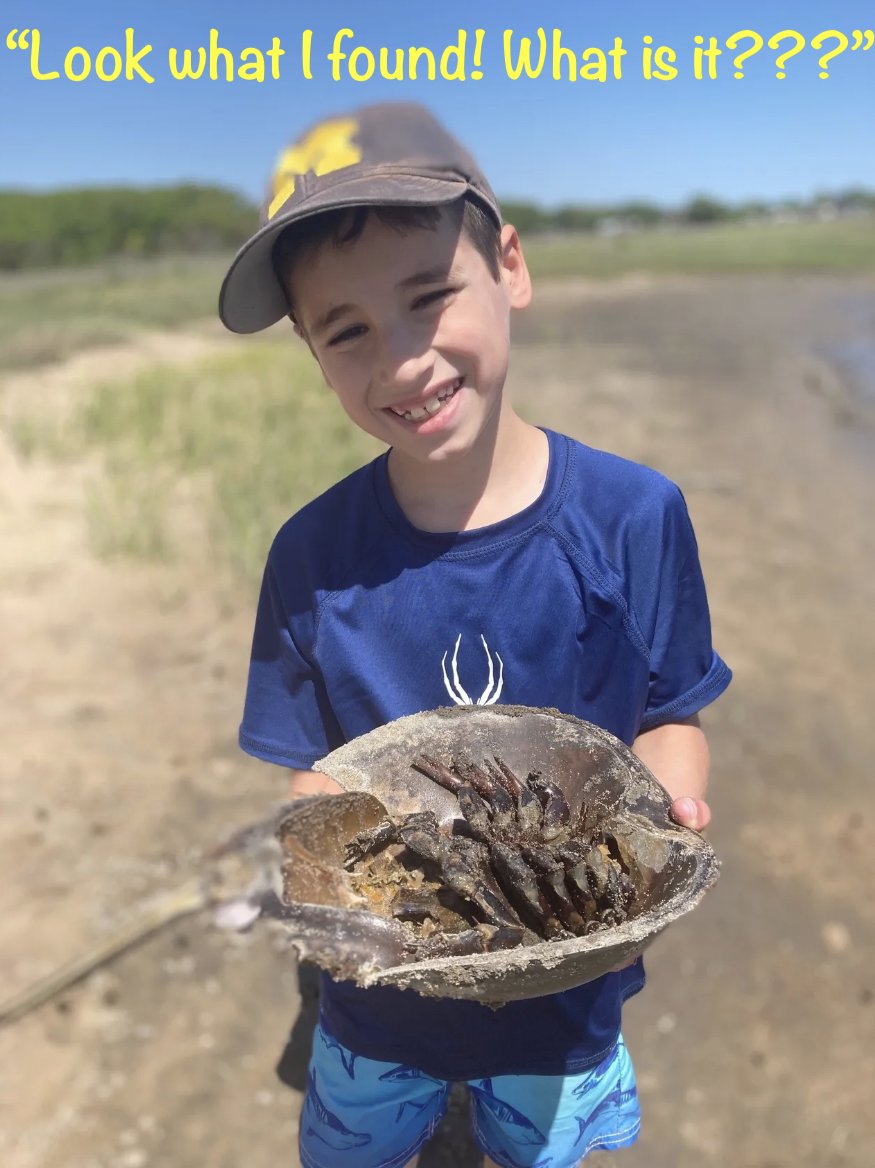 MeetMeonPlanet3's tweet photo. We know children are naturally inquisitive, and #summer is a special opportunity for them to get outside, enjoy #nature, and #explore.
https://t.co/7B9KxTBrJC
#sustainability #sustainabilityeducation #sustainabilityeducationforkids #scienceeducation #educationconsultant https://t.co/v3OI08EOAe