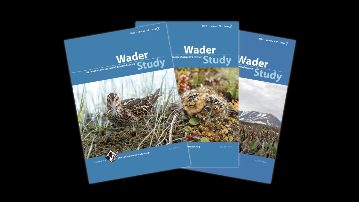 Wader Study publishes 3 issues per year, where you can find #waders related research, methods papers, reviews, short communications and several special features.
To browse through all the issues, please visit: waderstudygroup.org/publications/w…