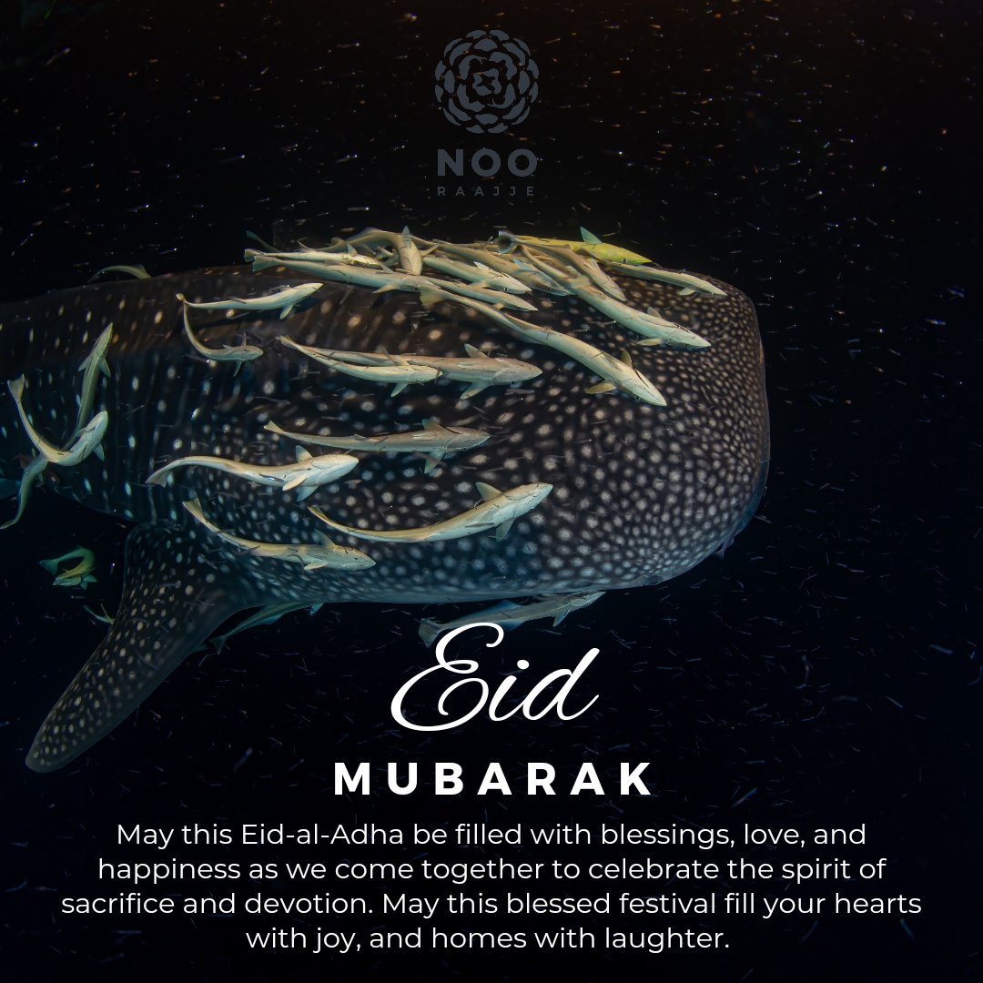 Wishing you all a blessed Eid-al-Adha! May this Eid be filled with blessings, love, and happiness as we come together to celebrate the spirit of sacrifice and devotion. Eid Mubarak!