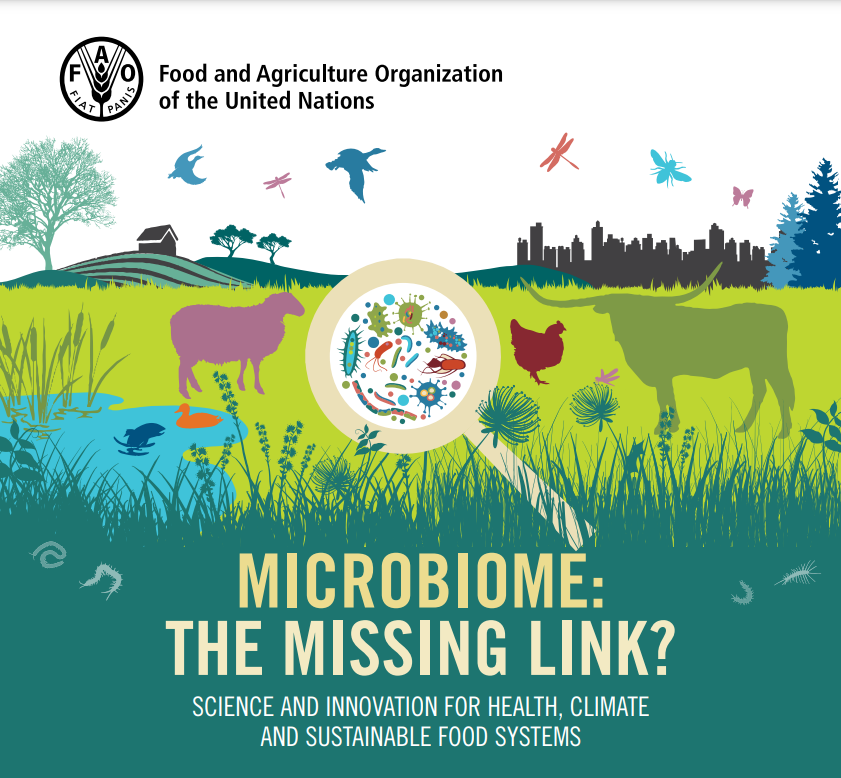 FAOclimate's tweet photo. #Microbiome innovation is a growing #bioeconomy sector that could play a key role in ensuring food security, human health and wider planetary health.

But what exactly are microbiomes and why are they so important?

👉🏼 https://t.co/KLRirnkQoz

#WorldMicrobiomeDay #Microbes4Life. https://t.co/WrG4QKc1Sb