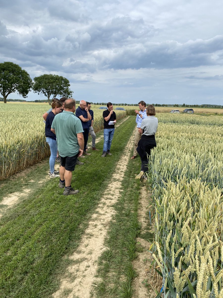 jan Theuws tweet media