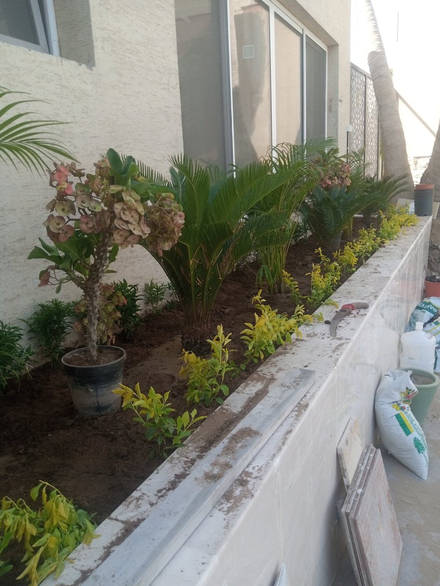 بعض من اعمال المشتل في زراعة وتنسيق حدائق الفلل