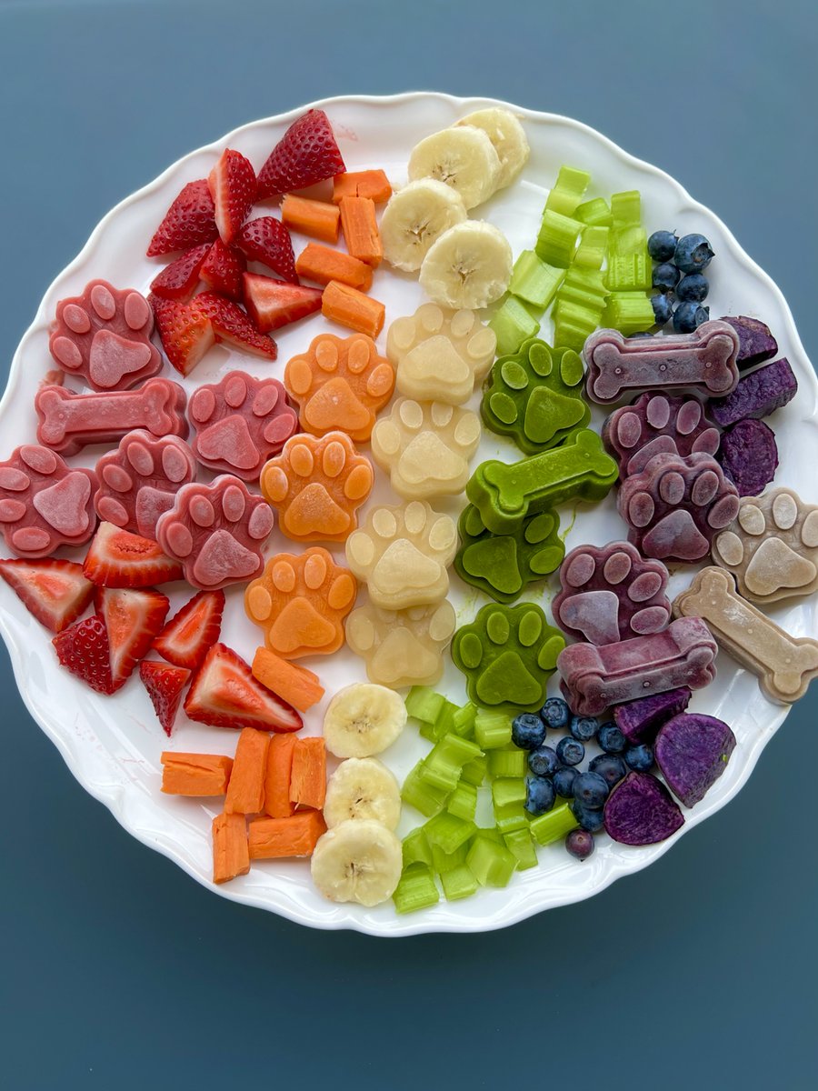 BrutusBroth's tweet photo. Here to spread love + healthy treats🌈🐾 #Pride2023 

Each has a combo of a fruit/veggie, Brutus Broth, peanut butter, &amp; Greek yogurt.  We used strawberries, carrots, bananas, leafy greens/celery, blueberries, and cooked purple sweet potato! Bone Appetit! https://t.co/1nriUPGgyD