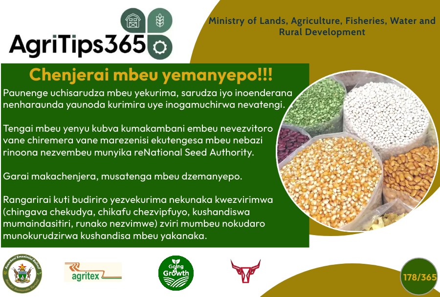 MoLAFWRD_Zim's tweet photo. Beware of fake seed
#AgriTips365/178
#Going4Growth 
@basera_john https://t.co/jzm15QUKtO