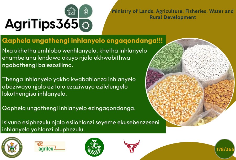 MoLAFWRD_Zim's tweet photo. Beware of fake seed
#AgriTips365/178
#Going4Growth 
@basera_john https://t.co/jzm15QUKtO