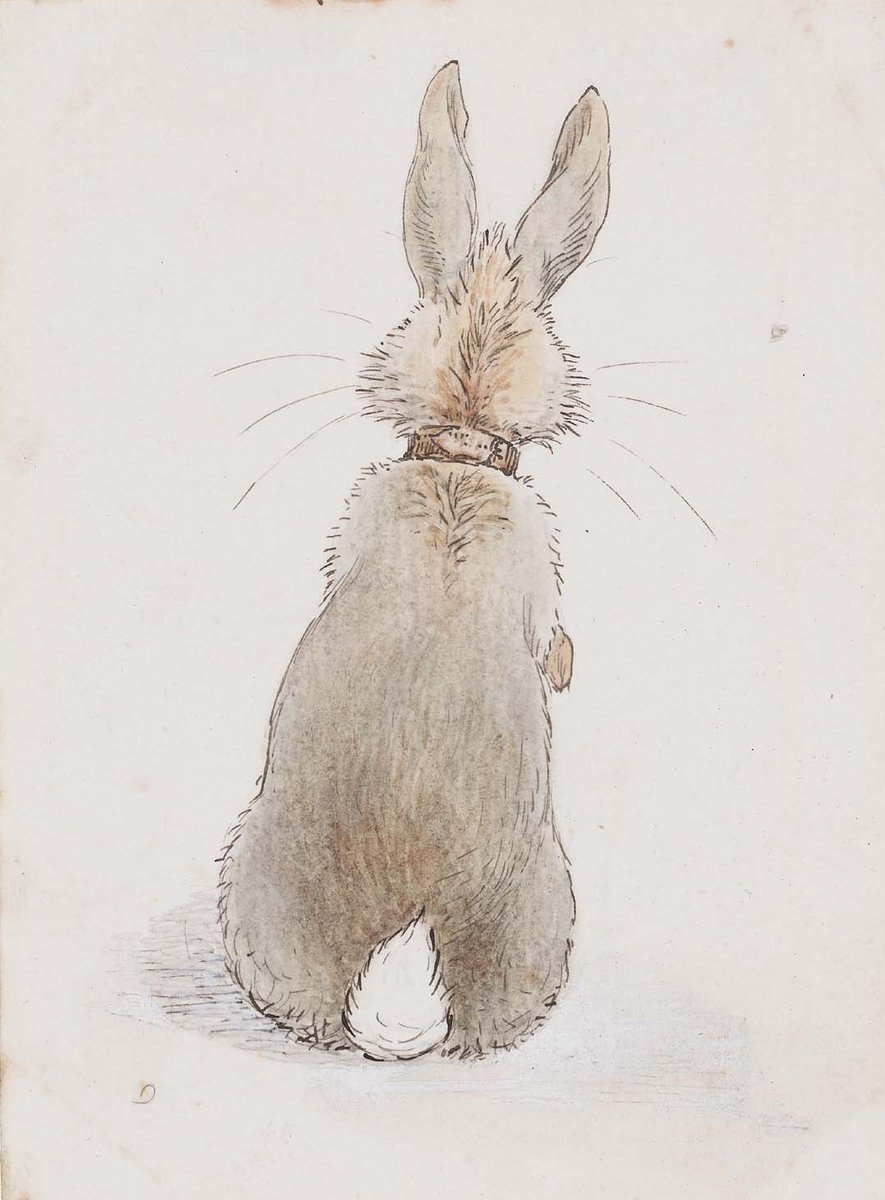 Rabbit Seen from Behind by Beatrix Potter (English, 1866–1943)/ womeninart