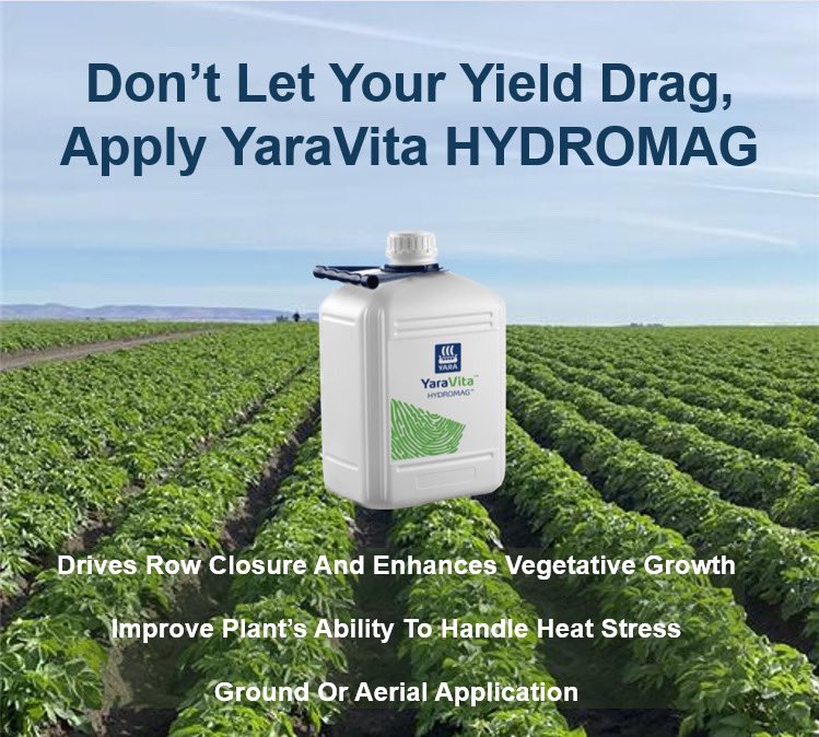 Allison Hebert tweet media