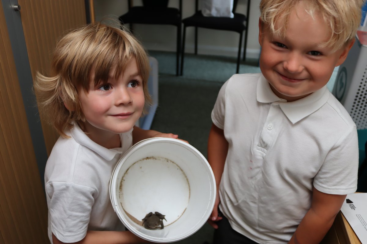 This Common Toad is playing havoc with our habitat work as despite several relocations, Little Owls' wellies appear to be a favoured location!