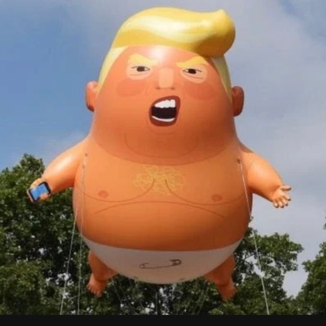 BigCeeOGee1's tweet photo. @RepMTG There's nothing else to do but kiss orange balls! https://t.co/VzlGsZej5z