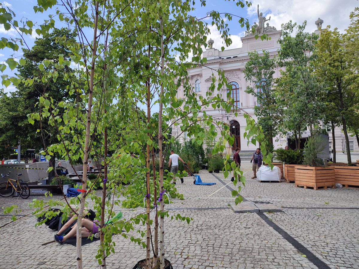 Co się dzieje przed Gmachem Głównym PW? 🤔 Powstaje tu instalacja naszych studentów architektury HA-LAS - podsumowanie projektu :W CENTRUM 🌳🌲 Zapraszamy na wernisaż! 🙂
⏰ 28 czerwca, godz. 18.00
📍 Gmach Główny PW i plac przed nim