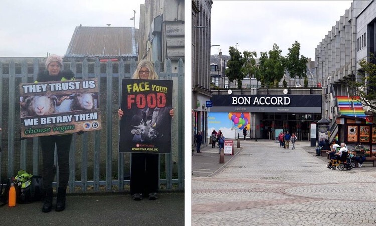 Vegan activists to host National Animal Rights Day event in Aberdeen city centre - The Press and Journal https://t.co/3hFNZCrWVx https://t.co/uPYHq5gUkX