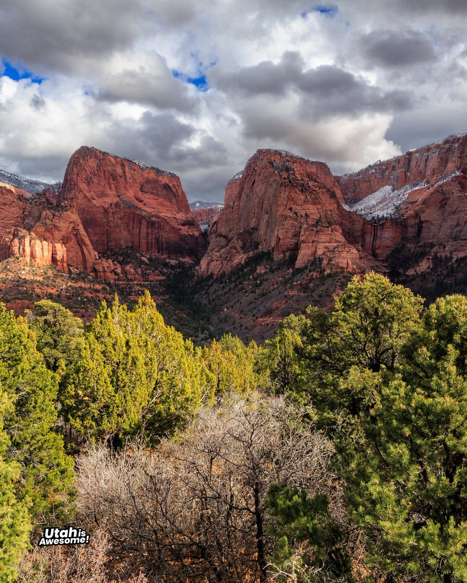 UtahIsAwesome's tweet photo. Have you seen the Kolob Canyons district of Zion National Park?
#utah #utahnature #utahhiking #visitutah