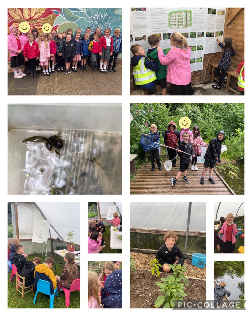 Penistone St Johns on Twitter "Squirrels have loved their trip to