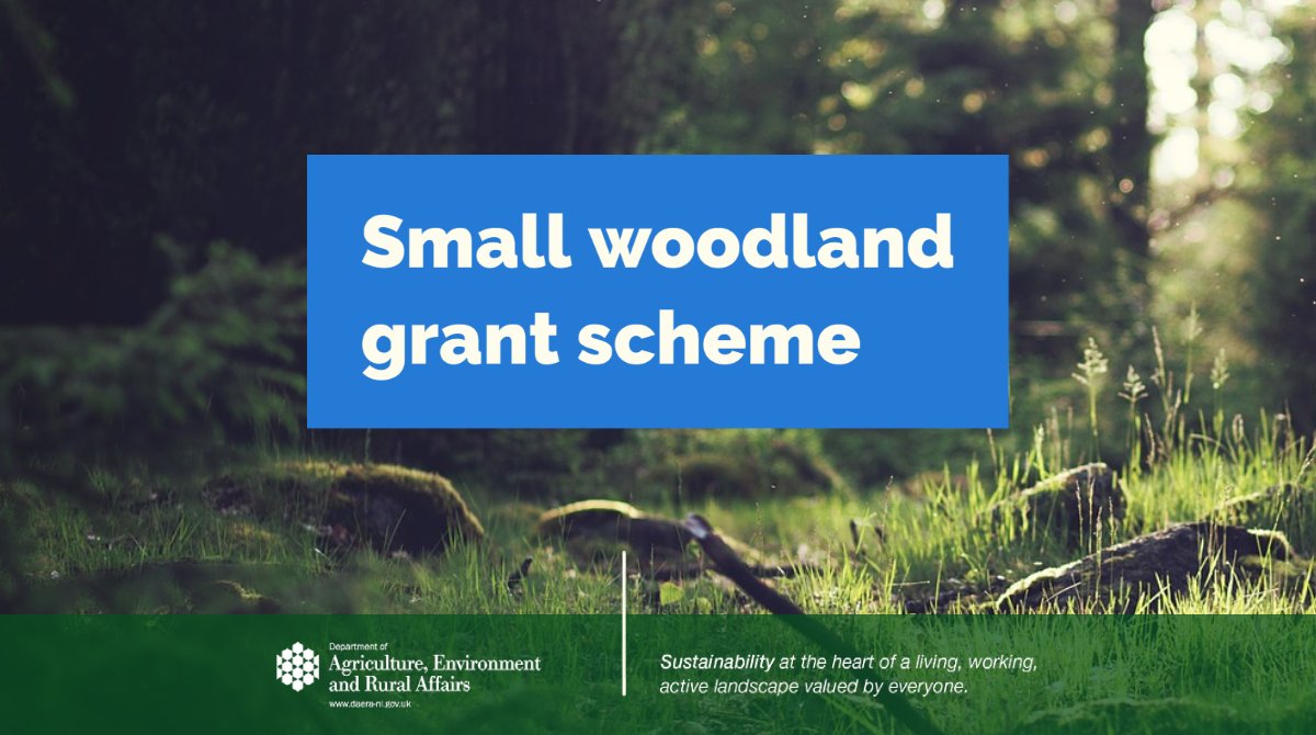 daera_ni's tweet photo. #SmallWoodlandGrantScheme is open to application offering
🌲fixed area based payment for new native
🌲woodlands of 0.2 hectares & larger
🌲https://t.co/XRgPgyST76
@RSPBNI
@NationalTrustNI
@WoodlandTrust
@UlsterWildlife
#forestsforourfuture
@NI_LGA https://t.co/z9gPBH36yS