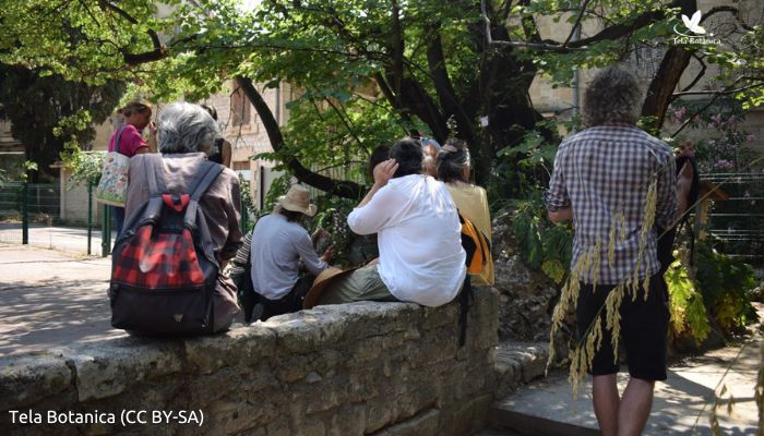 MOOC TelaFormation tweet media