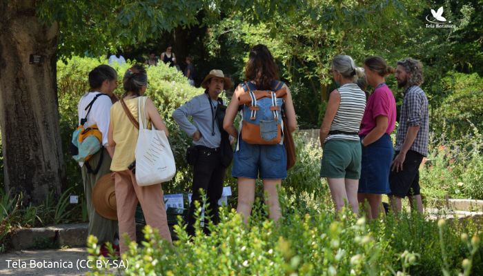 MOOC TelaFormation tweet media