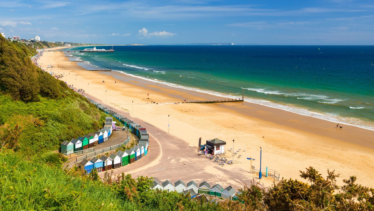 BarnesCoaches's tweet photo. #TopPicksTuesday line up!
> https://t.co/dorpthdAa9
📍Brighton
📅 Fri 28th July 2023
📍Bournemouth
📅 Thu 27th July 2023 & Sun 30th July 2023
📍Swanage
📅 Mon 31st July 2023
📍Winchester
📅 Mon 31st July 2023
📍 Barry Island
📅 Tue 1st August 2023 https://t.co/isMpBVIMcd