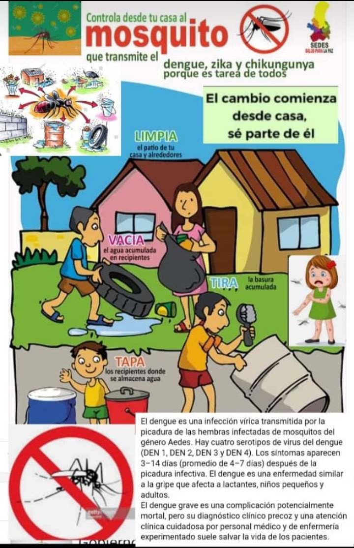 👉🏻 El cambio comienza desde casa, sé parte de él 
🦟 Limpia
🦟 Vacía
🦟Tapa
🦟Tira
Porque es tarea de todos y todas 🚮

#IntegraciónTecnológica