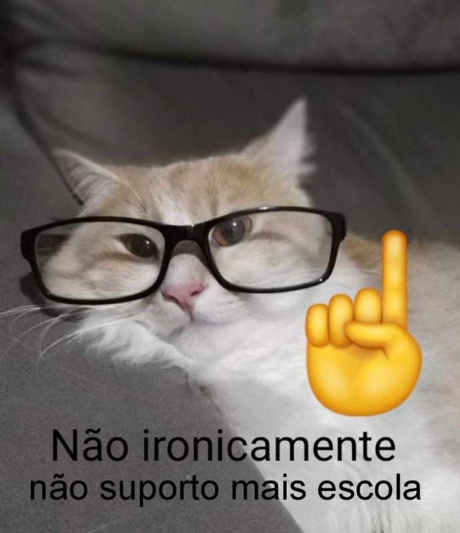 studythv's tweet image. 