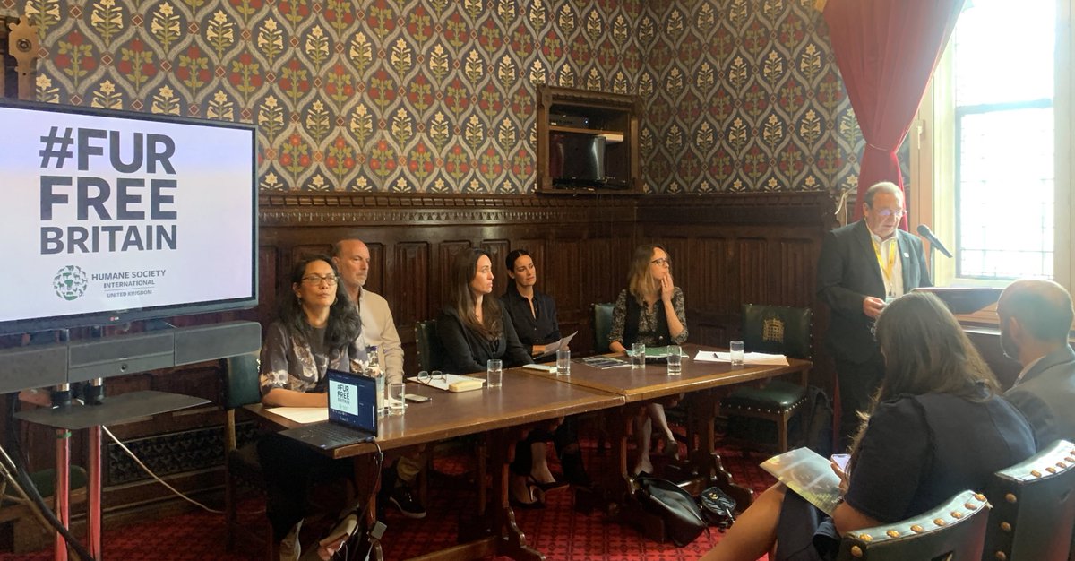 We’re in Parliament to launch our new report on the environmental impact of the cruel fur trade: Fur’s Dirty Footprint. Thanks to @JohnMcNallySNP for hosting the event and to our amazing speakers <a href="/letusbeheroes/">Let us be Heroes Ⓥ</a> <a href="/TheRealKirstyG/">KIRSTY GALLACHER</a> <a href="/bel_jacobs/">Bel Jacobs FRSA</a> and <a href="/Mike_R_Moser/">Mike Moser</a> 💚 #FurFreeBritain