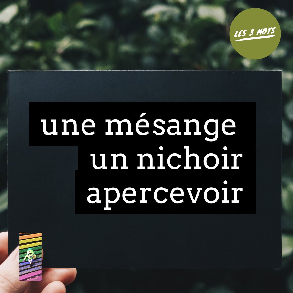 ALK 🇫🇷 on Twitter "Les 3 mots Voici trois mots à utiliser pour