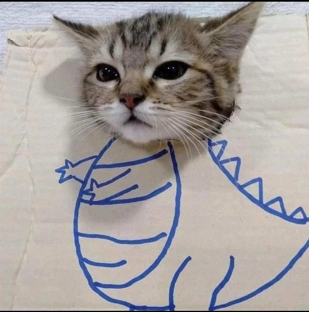 smol silly cat (@catsillyness) on Twitter photo 
