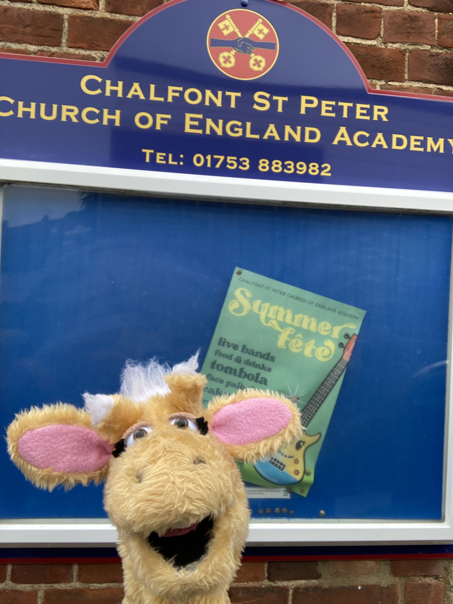 CLEHillingdon on Twitter: "Harold had great fun leaning about the brain