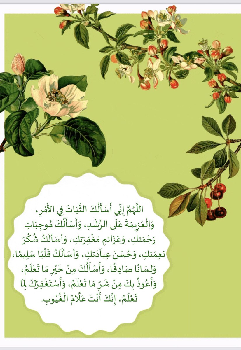 loyla007's tweet photo. https://t.co/FNSN5rS2Mx