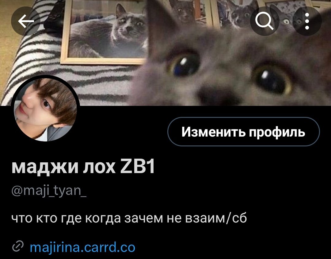 гений подогнал мне новую оформу