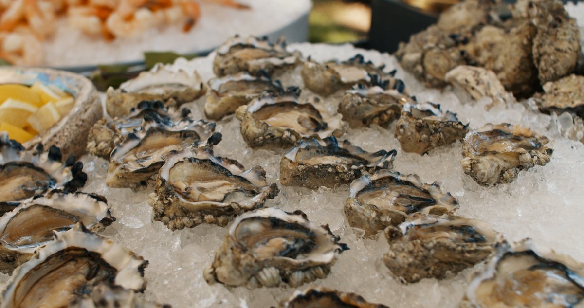 Foley Food & Wine Society tweet media