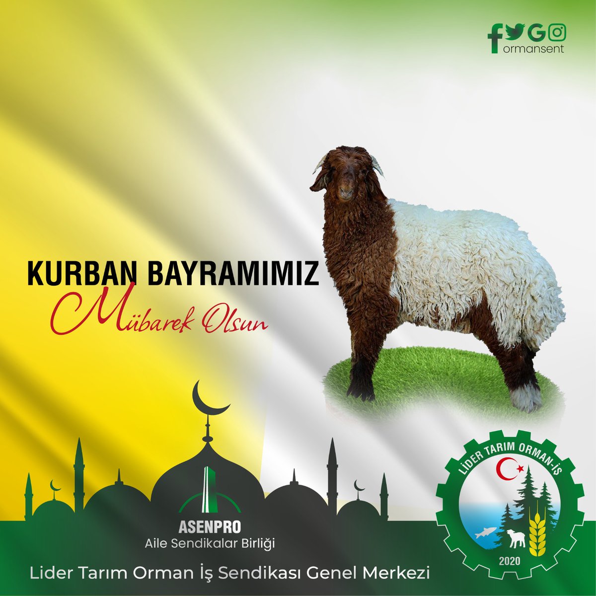 ENVER ÇALIŞKAN (@1903_enver) on Twitter photo 