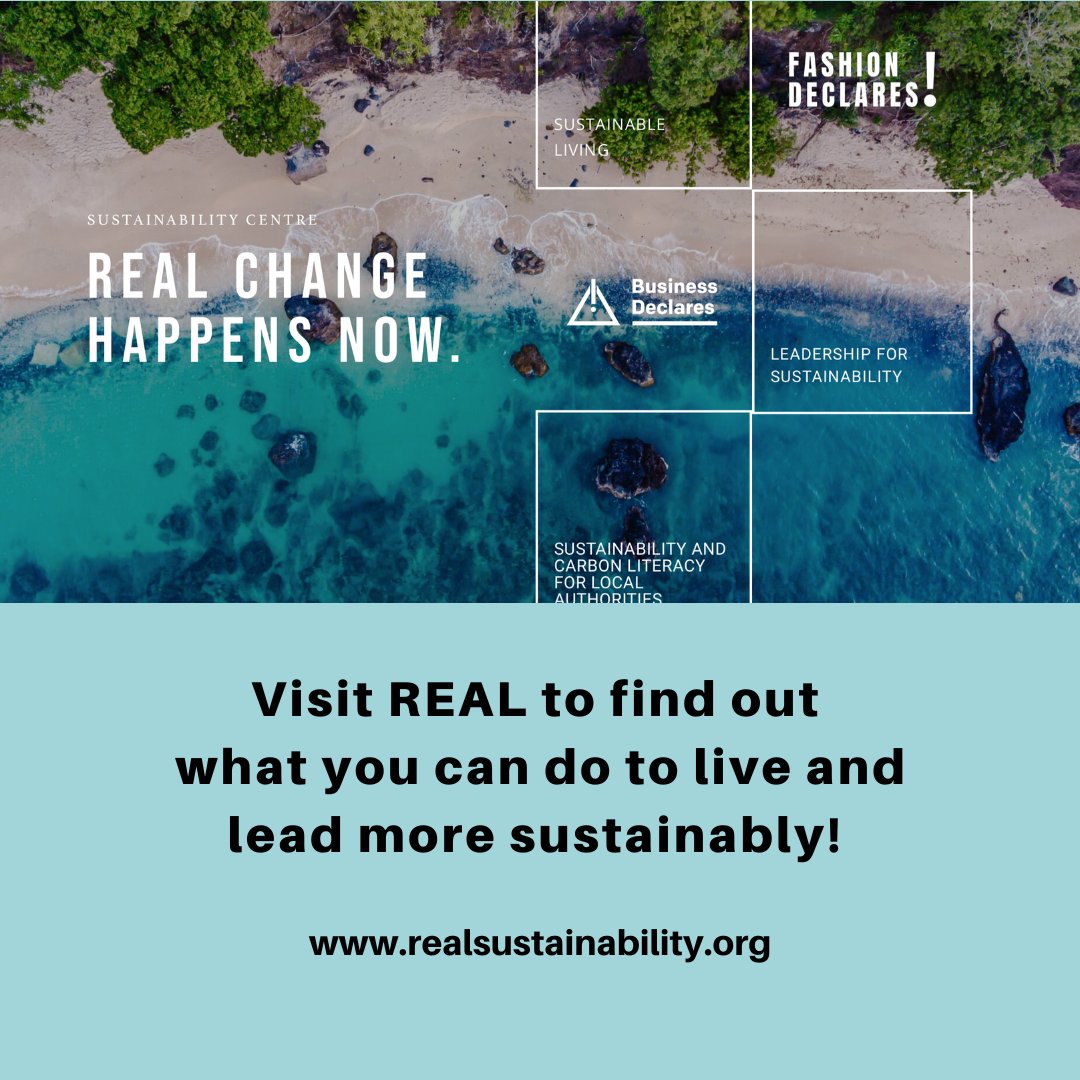 Discover the real issues and impacts of the energy sector, and learn more about what solutions are available with our expertly curated articles and resources. 🔗Visit the REAL Sustainability website to read more about energy! realsustainability.org/sustainable-li…