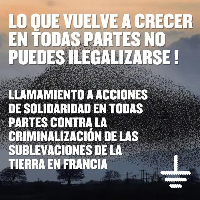 Soberanía Alimentaria⏚🇵🇸 tweet media