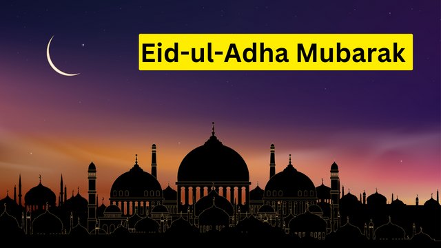 May this Eid bring you joy, happiness, and wealth. May Allah bless you with success and prosperity in all your endeavors. Eid ul adha Mubarak!