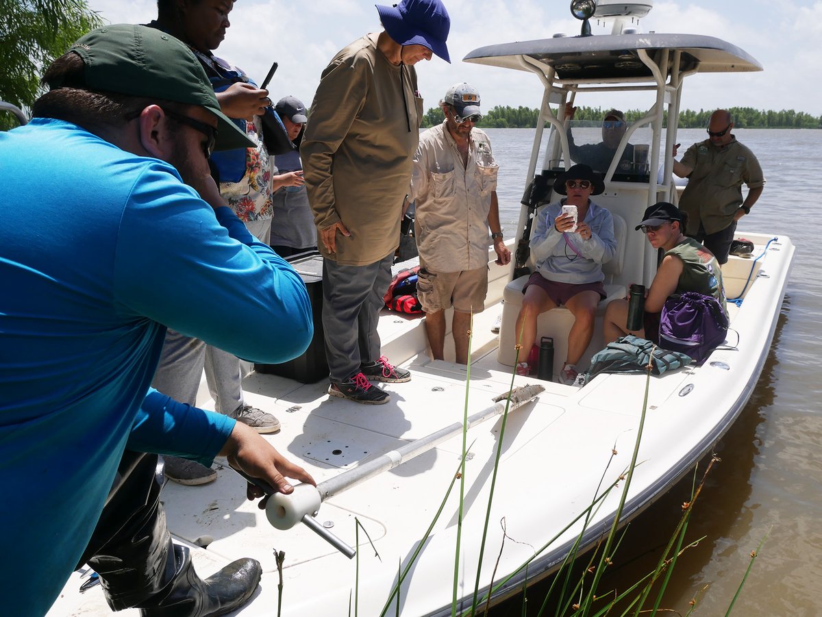 Louisiana Sea Grant tweet media