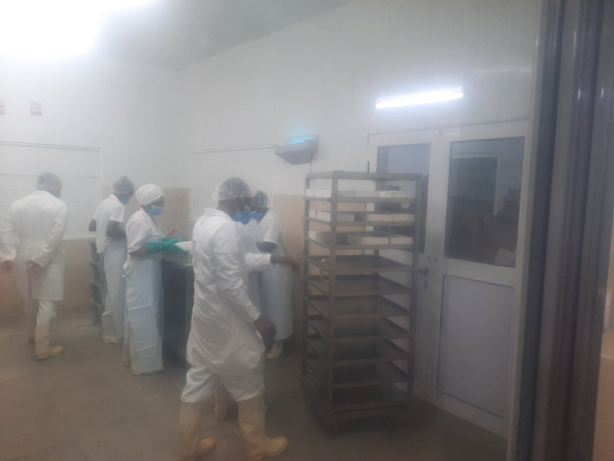 Excelente experiencia ha sido para los participantes en el II Taller de Industrias del OSDE Pesquero la visita a la UEB Industria de Pescario. Recuperación gradual, higiene, diversidad, innovación y disciplina, caracterizan a los trabajadores de esta UEB <a href="/GrupoPesquero/">Grupo Empresarial de la Industria Pesquera</a> <a href="/minalcuba/">Ministerio de la Industria Alimentaria de Cuba</a>