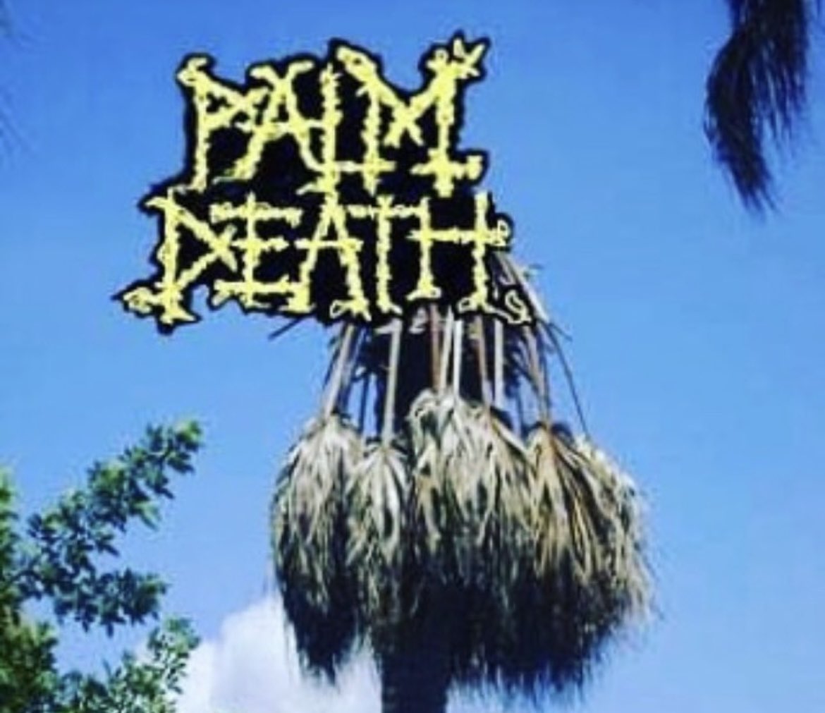 sonic stacey tweet media