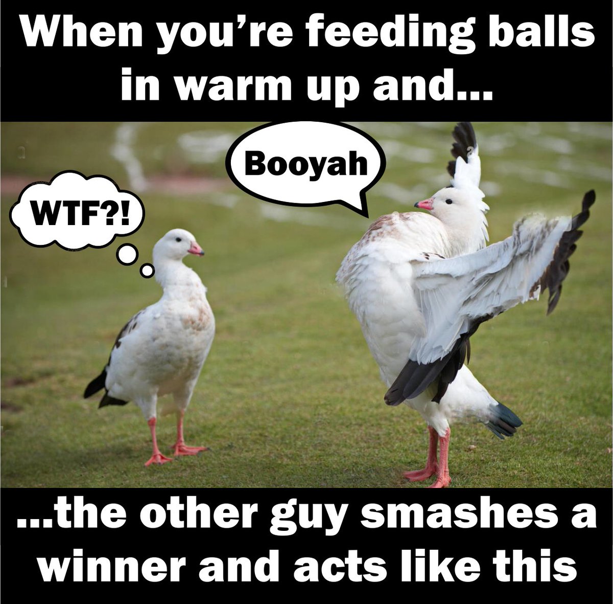 pickleballerz's tweet photo. Yep, we've all been there 🤣 #pickleball #pickleballmemes https://t.co/rf6hw9NhCS