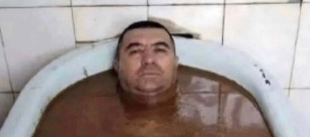 shaenyia🌱 tweet media