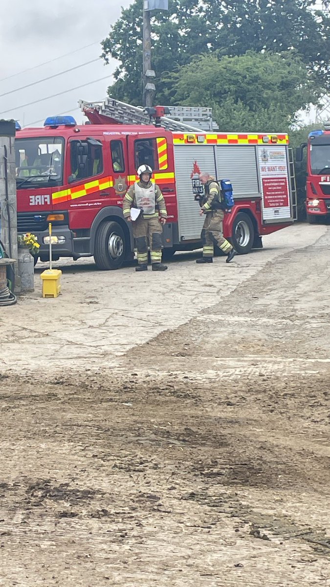 Trenance Dairy tweet media