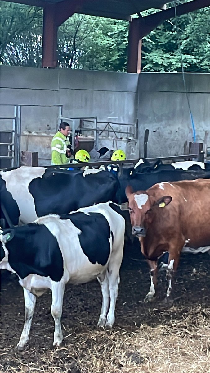 Trenance Dairy tweet media