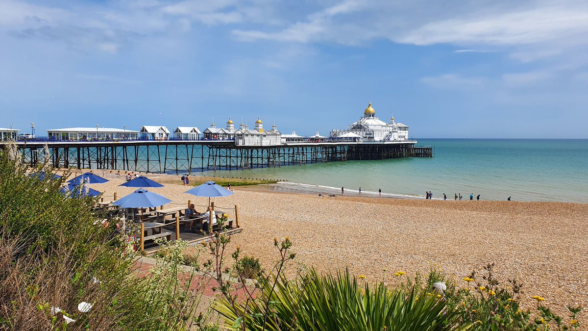 Beth Thomas tweet media