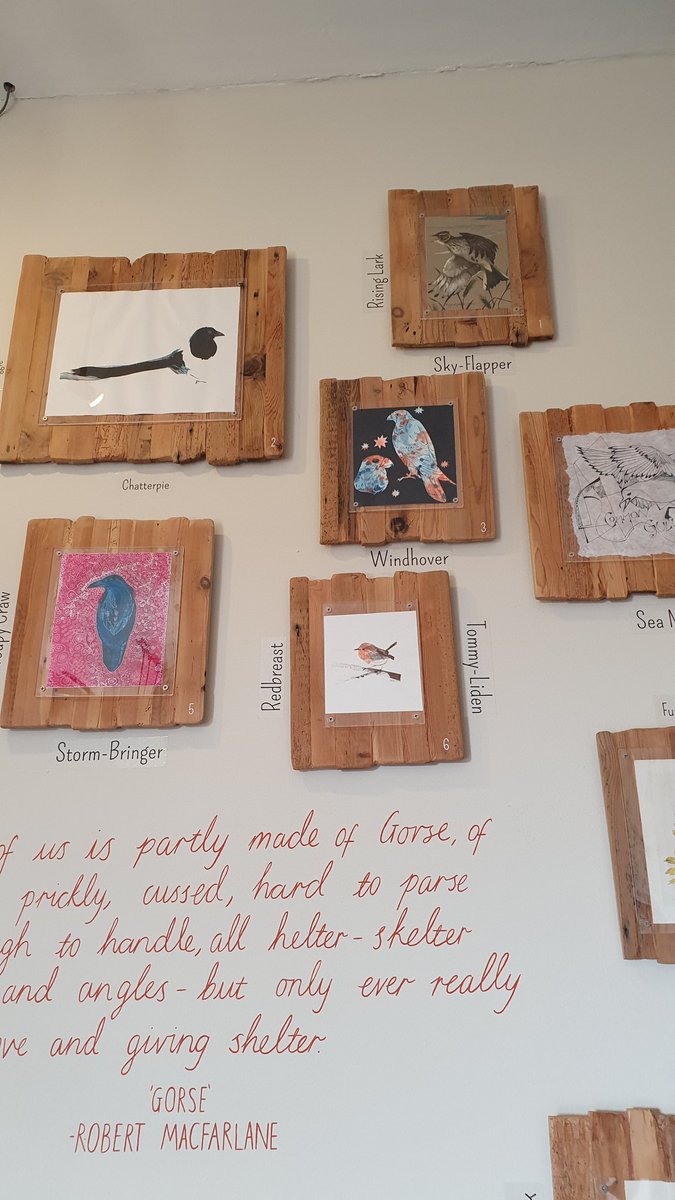 Beth Thomas tweet media