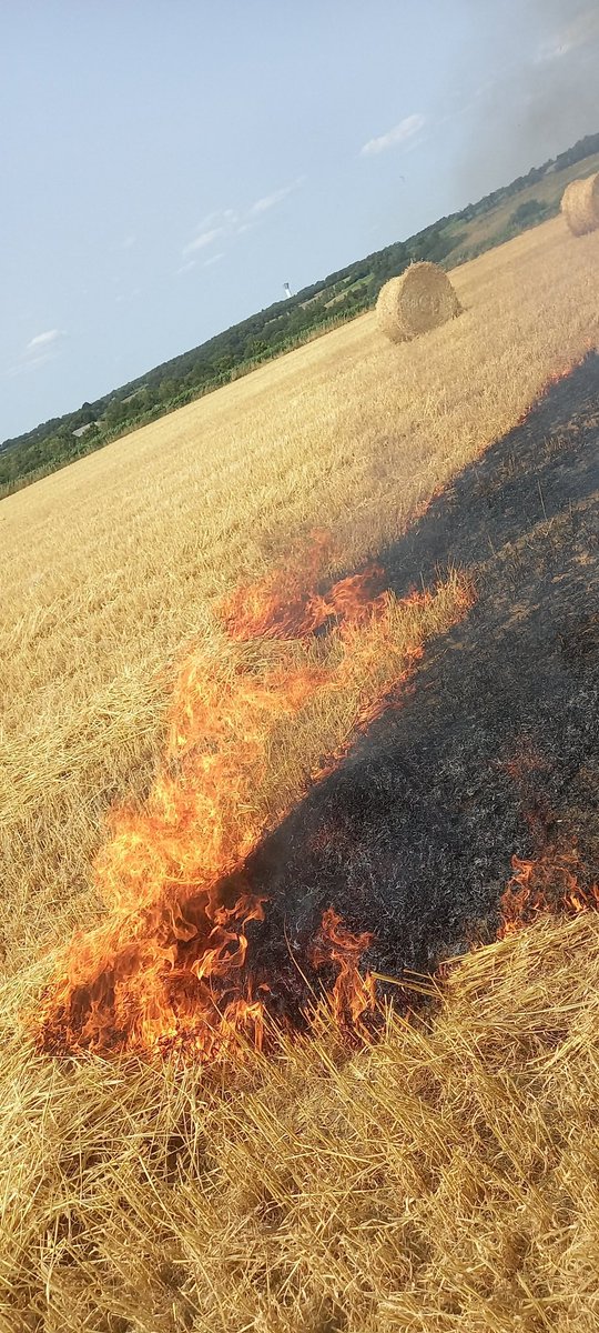 brunocalle56's tweet photo. #Moisson2023 
Deuxième jour pour nous au côté des  @pompiers_56 pour des feux de récoltes. 
Parfaite entente entre nos deux monde pour une grande efficacité
Avec les conditions météo actuelles, redoublons de vigilance 
@Prefet56 @FDSEA56 @ChambagriBzh @Gendarmerie_056 https://t.co/gH8bEn5qND