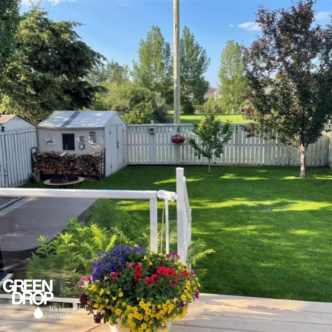 Green Drop tweet media